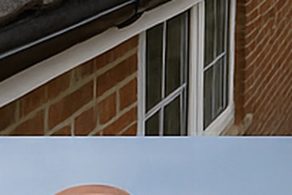 Water damage from a roof leak — wet ceiling and internal staining from an unresolved leak