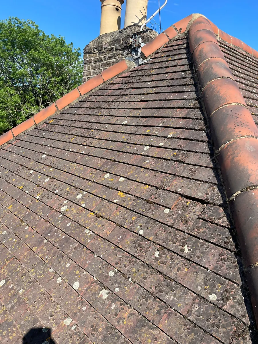 Roof replacement and re-roofing on a Surrey residential property — Never Felt Better